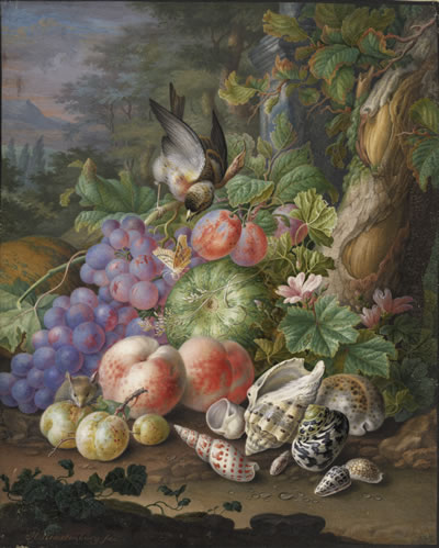 Herman Henstenburgh Früchtestilleben mit Fink und maritimen Schneckenhäusern, 1700 © Albertina, Wien