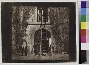   Hans P. Kraus, Jr. Fine Photographs   William Henry Fox Talbot (British 1800-1877), The Ladder  Salt print from a calotype negative, 17.1 x 18.3 cm on 19.6 x 23.8 cm paper.  Late April 1844. 