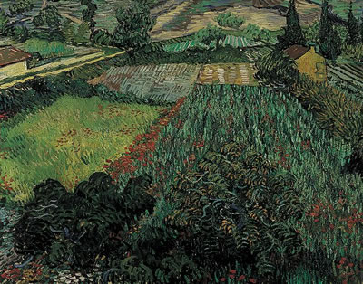 Vincent van Gogh (1853-1890) 