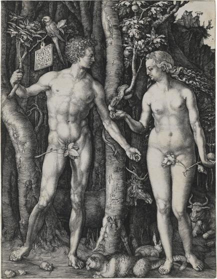 Albrecht Dürer Adam und Eva, 1504 Kupferstich Staatsgalerie Stuttgart