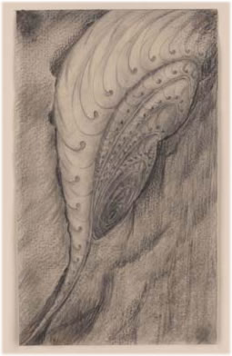 Phantastische Muschel, um 1895