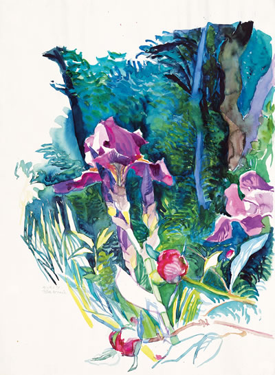 Hilda Uccusic, Rot-violette Iris und Pfingstrosenknospen, 1991