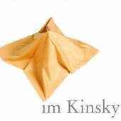 im Kinsky Logo (c) imkinsky.com