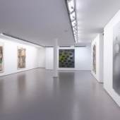 Ross Bleckner, Erwin Gross, exhibition view, 2020