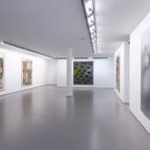Ross Bleckner, Erwin Gross, exhibition view, 2020