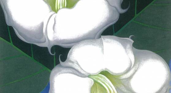 Georgia'O'Keeffe ' Zwei Stechäpfel mit grünen Blättern und blauem  Himmel ,!1938 ! Privatbesitz ! © ! Bildrecht,!Wien,!2015