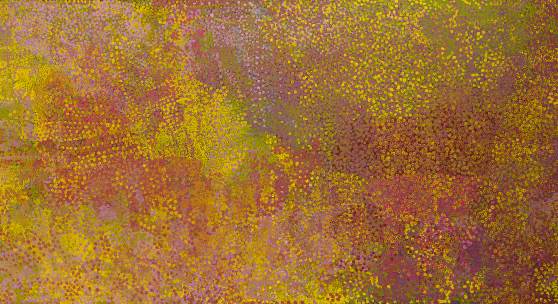 Lot 15 Property from the Collection of Thomas Vroom Emily Kame Kngwarreye Summer Celebration Painted in 1991 Synthetic polymer paint on canvas Bears Delmore Gallery catalogue number 91L04 47 5⁄8 in by 118 7⁄8 in (121 cm by 302 cm) Estimate $300/400,000 Sold for $596,000