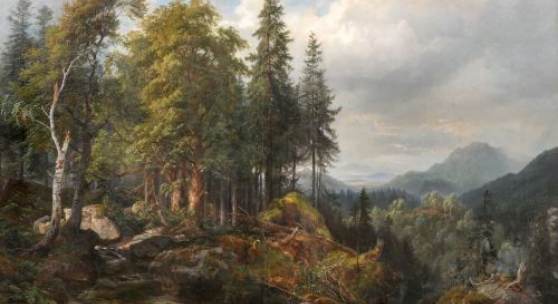 007   Carl Maria Nikolaus Hummel "Tannenwald mit Felsblöcken, Motiv aus dem Bayr[ischen]. Wald". 1869.