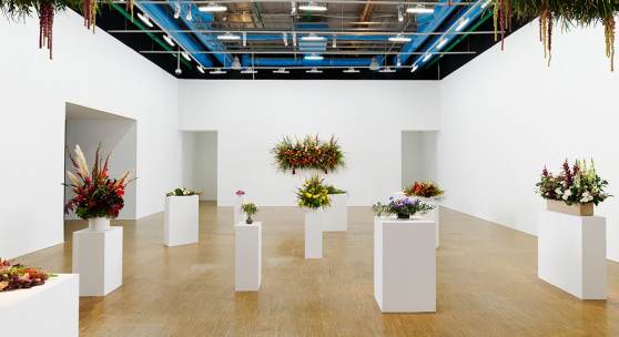 Kapwani Kiwanga, Flowers for Africa, 2013-ongoing Installationsansicht Centre Pompidou, Paris, 2020-2021. Foto: Aurélien Mole 