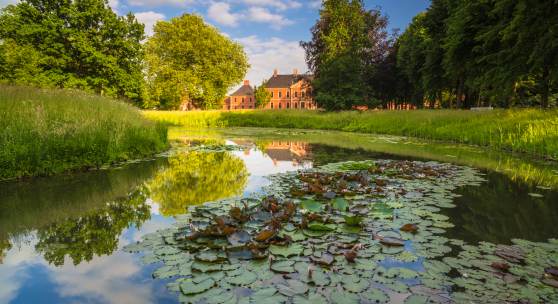 Schlosspark Bothmer, Foto: Timm Allrich