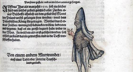 Konrad Gessner: Meerbischof (1555)