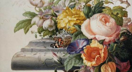Herman Henstenburgh (1667–1726) Blumengebinde, 1700 Wasser- und Deckfarben auf Pergament, 340 × 286 mm Städel Museum, Frankfurt am Main © Städel Museum, Foto: U. Edelmann