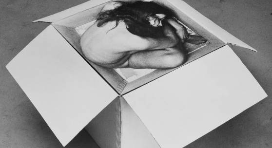 Kirsten Justesen, Sculpture #2, 1968 S/W-Fotografie montiert auf Karton, Kartonschachtel weiß; 60 × 60 × 50 cm; Edition: 6/7; SV_677_2016 © Kirsten Justesen / Bildrecht, Wien 2021 / SAMMLUNG VERBUND, Wien