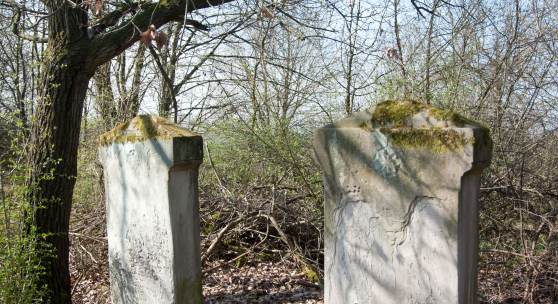 Jüdischer Friedhof in Bovenden erfährt Unterstützung