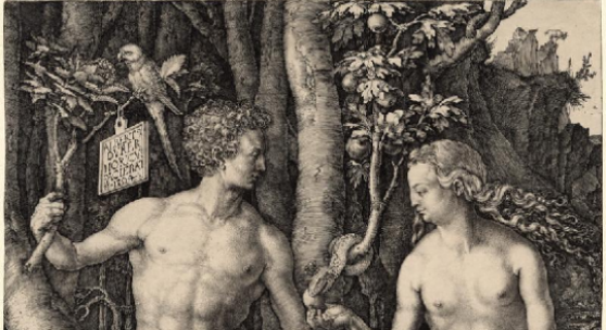 ALBRECHT DÜRER 1471 – Nürnberg – 1528, Adam und Eva 1504, Kupferstich; 248 x 191 mm, Galerie F. Carlo Schmid