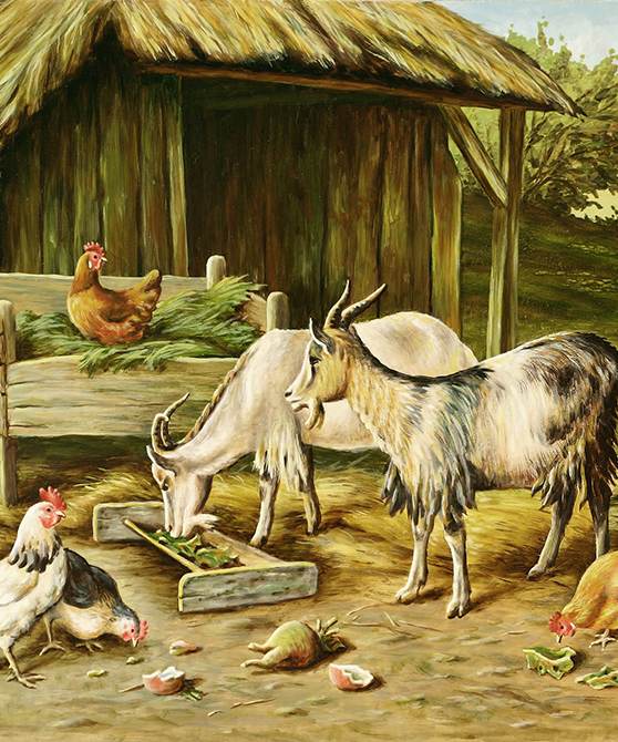 Hühner und Ziegen am Ziegenstall