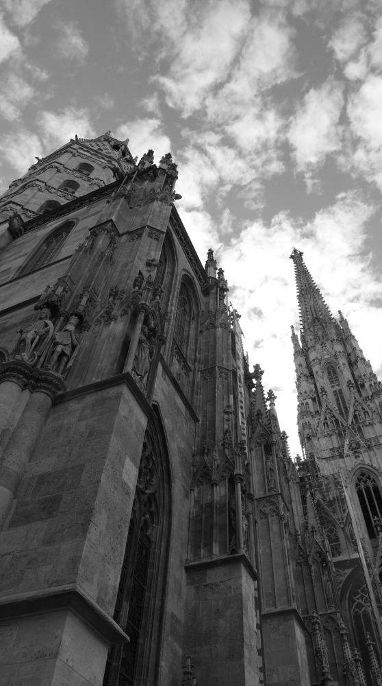 Blick zum Himmel: Stephansdom 