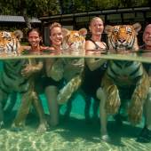 2020 Photo Contest, Contemporary Issues, Stories, 2nd Prize The Tigers Next Door © Steve Winter for National Geographic