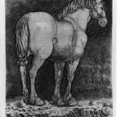 Giovanni Antonio da Brescia nach Dürer Das Große Pferd Kupferstich, um 1510 © SMB Kupferstichkabinett, Foto: Volker-H. Schneider