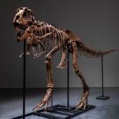 FIRST EVER GORGOSAURUS TO APPEAR AT AUCTION ACHIEVES $6.1 MILLION