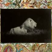 Lot 87 Peter Beard 'LARGE-MANED LION AT COTTAR'S CAMP' a unique object, signed, titled, dated, and annotated in white ink on the image, profusely illustrated with plant and animal imagery in inks and gouache in the margin, framed, 1984 Overall 24¾ by 32½ in. (62.9 by 82.6 cm.) Estimate $40/60,000 Sold for $ 106,250