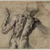 Michelangelo Buonarroti Sitzender Jünglingsakt und zwei Armstudien, (Recto), um 1511© Albertina, Wien