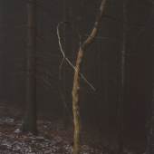Jitka Hanzlová Ohne Titel (aus der Serie "Wald"), 2005 Albertina, Wien © Bildrecht, Wien, 2016