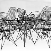 An Eames Celebration. Wire Chairs with bird, 1953. Photo Charles Eames. ∏ Eames Office LLC