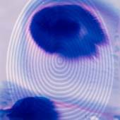 Fabian Marti, Fertilized Target Egg (Violent Violett), 2014 Tinte auf Silbergelatine-Print (Fotogramm), auf Aluminium aufgezogen, 206 x 150, courtesy the artist and Galerie Peter Kilchmann, Zürich, Foto: Thomas Strub