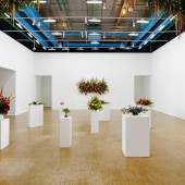 Kapwani Kiwanga, Flowers for Africa, 2013-ongoing Installationsansicht Centre Pompidou, Paris, 2020-2021. Foto: Aurélien Mole 