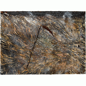 Anselm Kiefer, Für Walther von der Vogelweide – under der Linden an der Heide, 2019. Emulsion, oil paint, acrylic, shellac, chalk on canvas. 280 x 380 cm (110.24 x 149.61 in). © Anselm Kiefer.