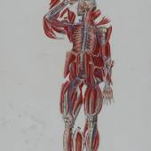 Muskelskelett, altaquarellierte Lithographie, Antonio Serantoni, aus: Paolo Mascagni, Prodromo della grande anatomia, Mailand 1821, Sammlung Frank, Stuttgart. 