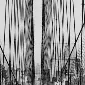 Fred Stein, Brooklyn Bridge Cables / Drahtseile der Brooklyn Bridge, New York 1948 250 x 195 mm  © Fred Stein bei VG Bild-Kunst, Bonn 2018