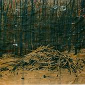 „Woods“ Fotoemulsion auf Packpapier 137 x 170 cm Pastellkreide, Wachs 1999	    	   