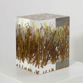 Susi Kramer Blumenstrauss, 2014 Acrylglas mit Buchssteckli und Tüll, 22,5 x 16 x 16 cm 