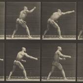 adweard Muybridge | Striking a blow with right hand (Modell: Ben Bailey), aus “Animal Locomotion”, 1887  Stiftung Ann und Jürgen Wilde, Pinakothek der Moderne München