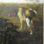 Dokumentation der Restaurierung des Gemäldes „Großes Tierstillleben“ von Jacob van der Does: Der Firnis ist im Himmel abgenommen und im hinteren Bein des Hundes, Staatsgalerie Stuttgart
