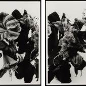 Lot 155 Nobuyoshi Araki From Close To Range a diptych of large-format photographs, each signed in ink on the image, flush-mounted to aluminum, framed, 1991, printed later (2) Each approximatel