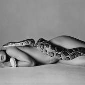 Richard Avedon Nastassja Kinski and the Serpent, Los Angeles, California oversized, signed and editioned '66/200' in pencil on the reverse, framed, 1981, printed in 1982 32 1/4  by 48 3/4  in. (81.9 by 123.8 cm.) Estimate $60/90,000