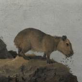 Gezicht op de Rio Sao Francisco, Brazilië, Frans Post (1612–1680),1639_detail capibara. Musée du Louvre Parijs