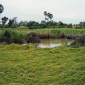  Bomb Ponds series, Kandal I, 2009  Digital C-Print, 91 x 111 cm  The image courtesy the artist & SA SA BASSAC