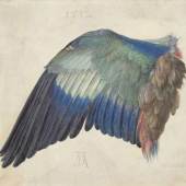 Der Flügel einer Blauracke, um 1500 (oder 1512), Aquarell und Deckfarben, mit Deckweiß gehöht, auf Pergament, Foto: Albertina, Wien
