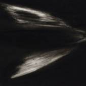 Andrea Zaumseil Vogel, 2021 Pastellkreide auf Papier 29,5 x 42 cm