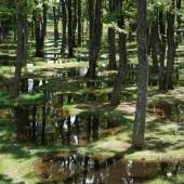 Art Biotop Water Garden, Tochigi/Japan, 2018, Fotografie © nikissimo Inc.