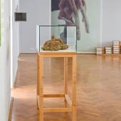 Ausstellung LOIS WEINBERGER RELATIVES  Kunsthaus Dresden Foto Anja Schneider