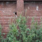 Grabmal Blumenthal auf dem Jüdischen Friedhof in Berlin-Weissensee © Deutsche Stiftung Denkmalschutz/Schabe