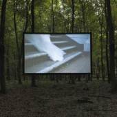 Foto: A Marriage in the King’s Forest, 2009 HD RED film transferred onto HDCAM SR Colour, sound, 25 minutes Installation view, King’s wood, Challock, 2009 Courtesy of the artist © Bethan Huws & Dieter Association Paris, 2011