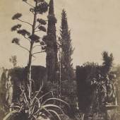  Giacomo Caneva (1813-1865) Aloe in der Villa Ettore Roesler Franz in Rom, um 1852 Salzpapier von einem Papiernegativ, 27,3 x 21,7 cm © Bayerische Staatsgemäldesammlungen/Sammlung Dietmar Siegert