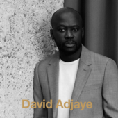 DAVID ADJAYE