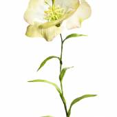 Die falsche Blume, Blume „Lore“, 2014, Polyamid, gesintert, Seidenstoff, handkoloriert © Hermann August Weizenegger, Foto: Bernd Hiepe